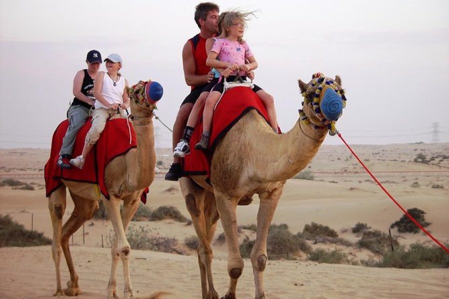 Morning Desert Safari With Camel Ride