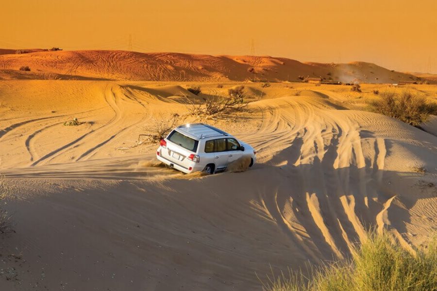 Evening Desert Safari