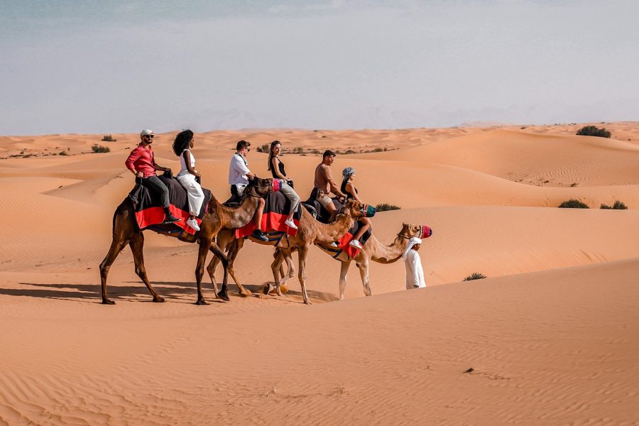 Morning Desert Safari